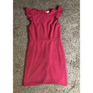 Pink Lily Sleeveless Girls Large Dress Zip Back Excellent Condition